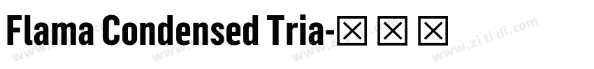 Flama Condensed Tria字体转换 Flama Condensed Tria字体转换